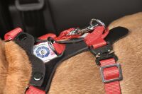 Hyundai Dog Protection Belt Comfort S-XL