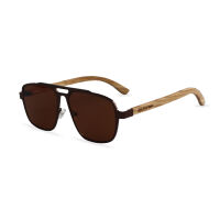 Hyundai Sunglasses brown